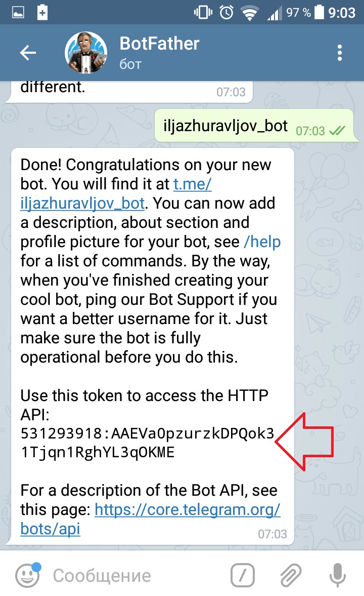 токен бота телеграм